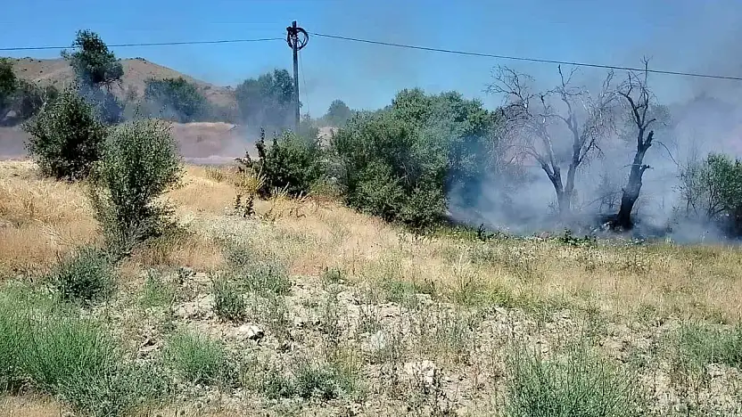 Elazığ'da korkutan yangın: Onlarca dönümlük alan kül oldu