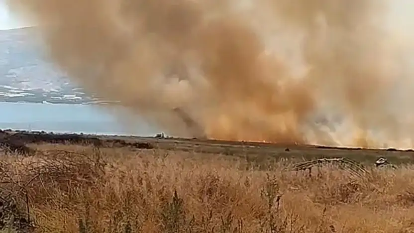 Elazığ'da otluk alanda çıkan yangın korkuttu